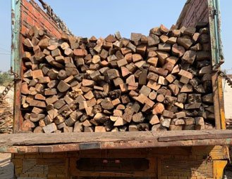 Dry-Eucalyptus-Fire-Woods